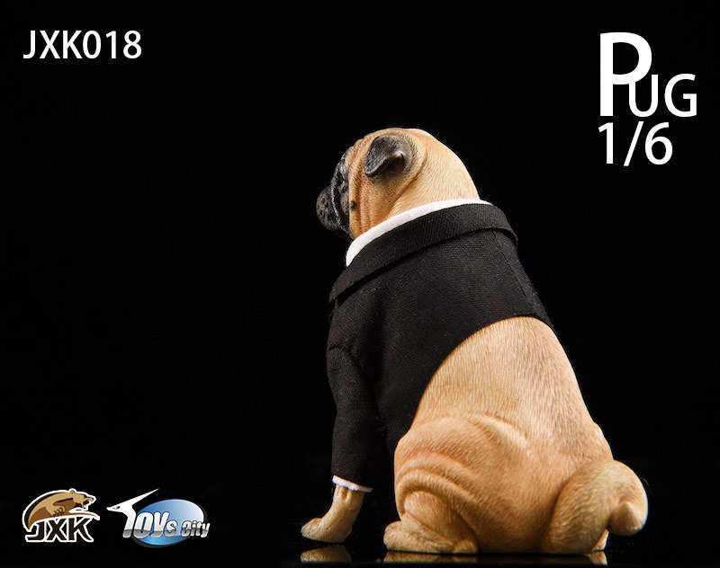 [สั่งจอง]JXK 1/6 JXK018 pug in Black-FRANK