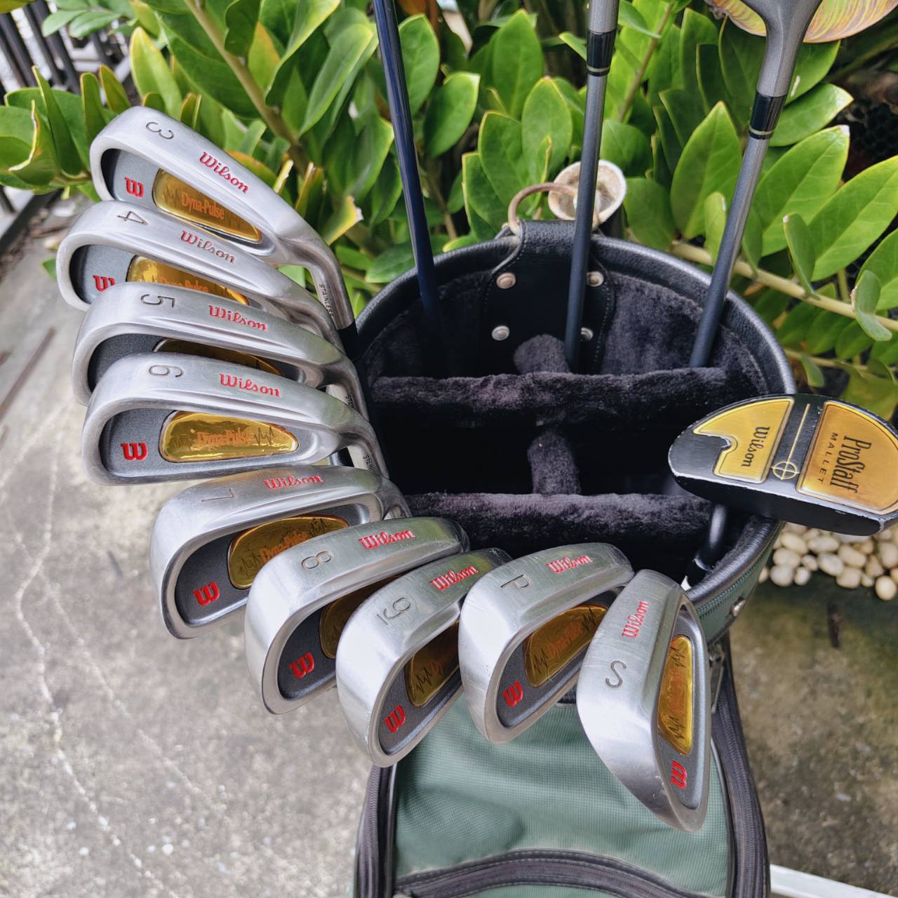 ชุดไม้กอล์ฟครบชุด WILSON DYNA-PULSE – พร้อมลุยทุกสนาม! ไม้ครบเซ็ต ตีง่าย