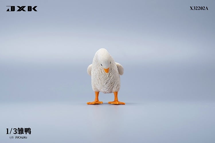 [สั่งจอง]JXK : Scottish Fold/Chckling/Duckling