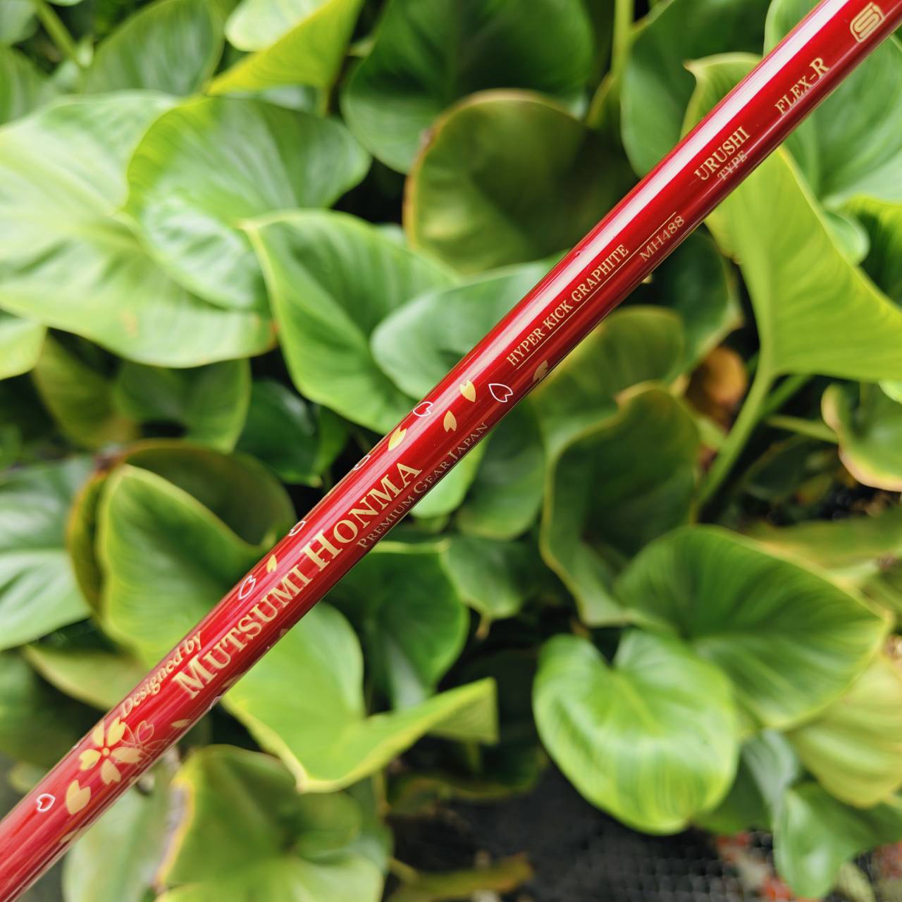 Driver Mutsumi Honma MH488X → High COR Face (หน้าเด้ง) ตีโดนตรงหรือขอบหน้าไม้ยังได้ระยะใกล้เคียงกัน