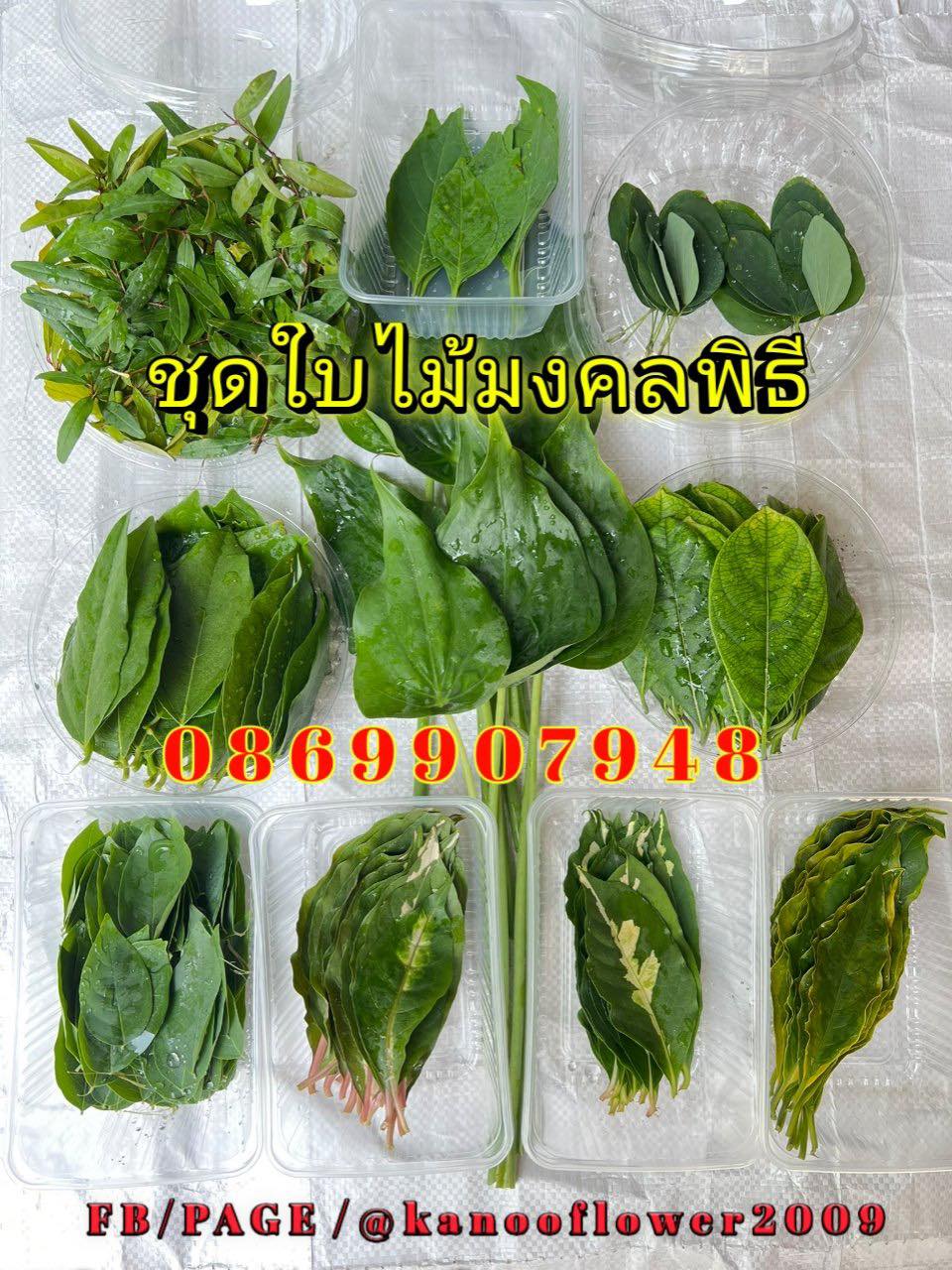 ใบไม้มงคล (พิธี)