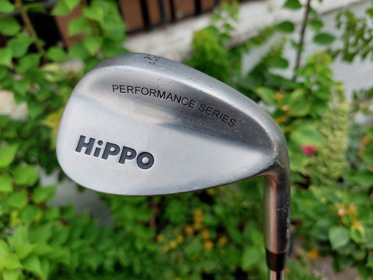 WEDGE HIPPO องศา 52