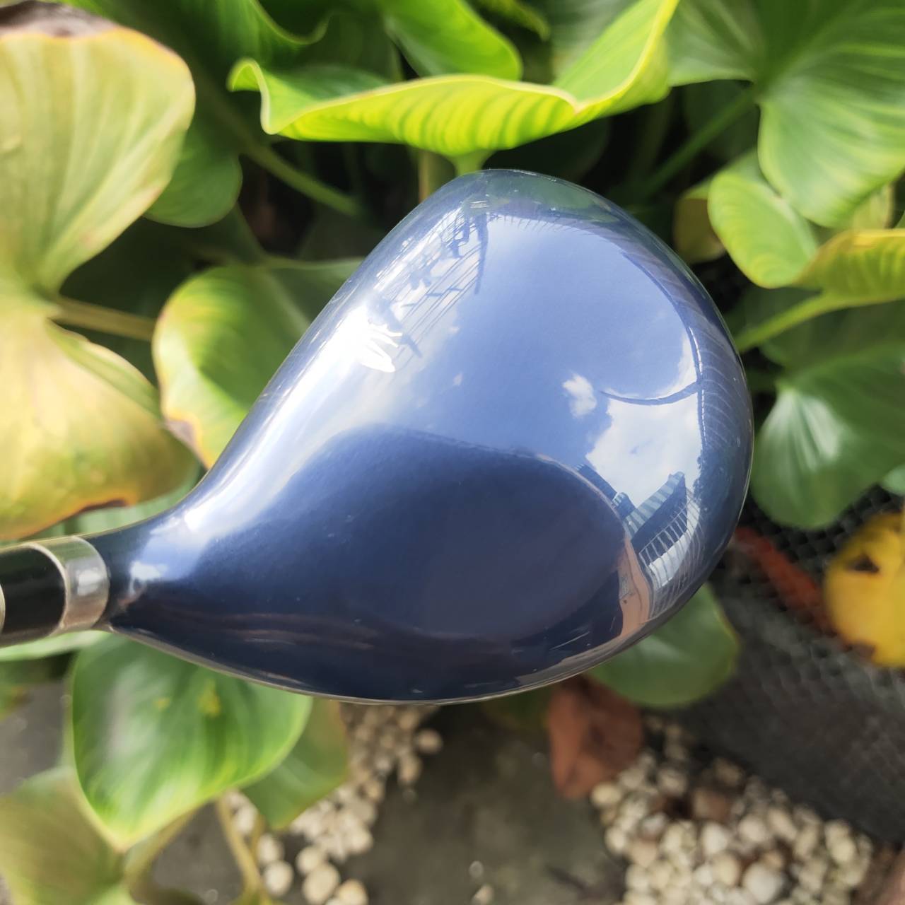 ไม้กอล์ฟผู้หญิง 3W - KING COBRA M/SPEED OFFSET หน้าเด้งมาก กระดองเด้งด้วย