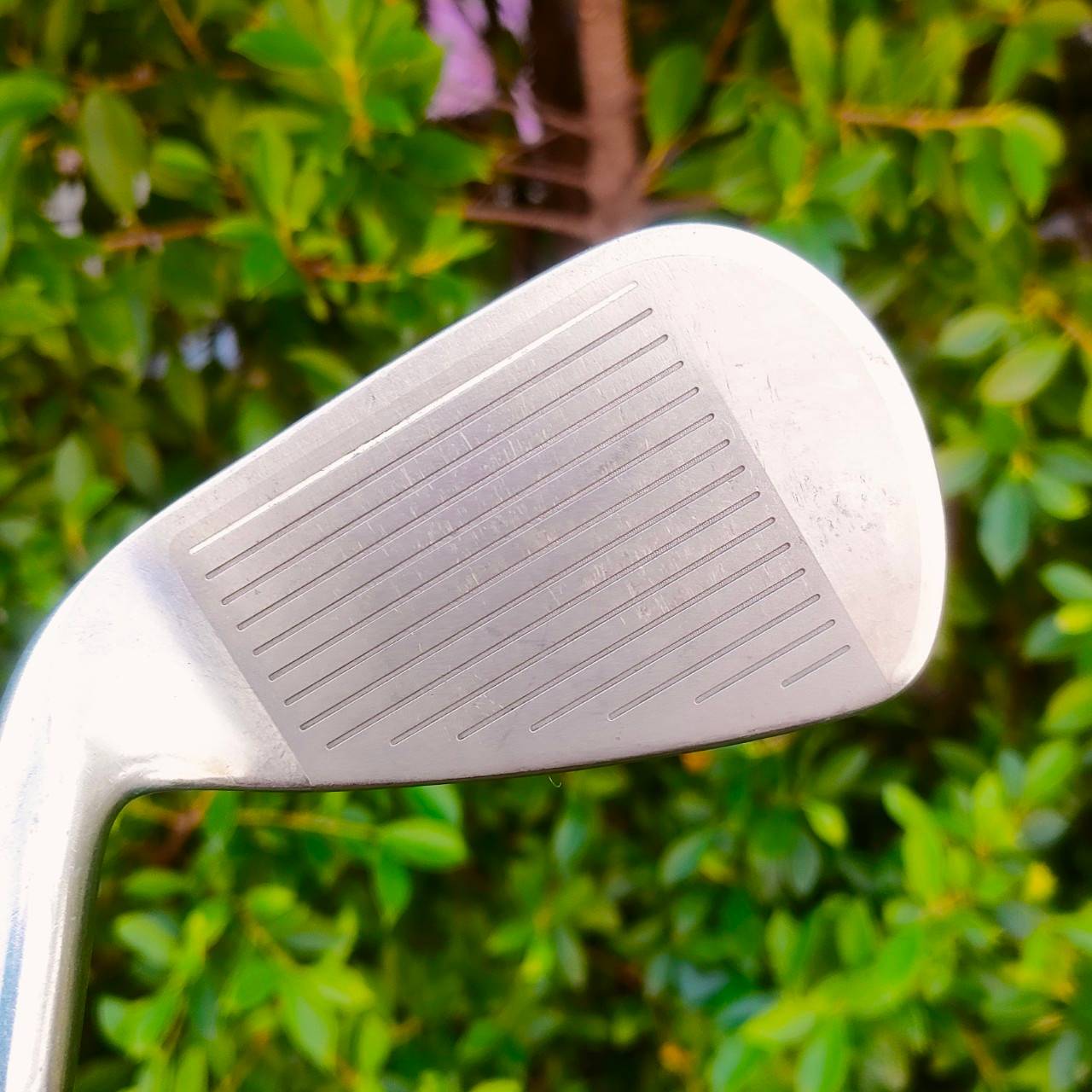 ชุดเหล็กหน้าเด้ง XXIO IMPACT POWER MATCHING มีเหล็ก 6-9 เเละ PW AW ก้าน XXIO MP400 FLEX R เหล็กติดรางวัลอันดับ 1 ในญี่ปุ่น ไม้กอล์ฟมือสอง ของแท้ BY NakaraLuxurious