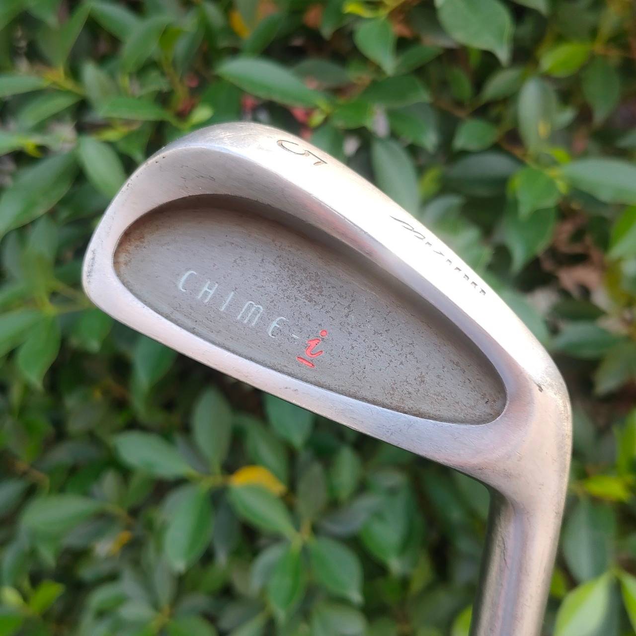 ** ไม้กอล์ฟสำหรับผู้หญิง ** ชุดเหล็ก MIZUNO CHIME LADY มีเหล็ก 5-9 เเละ PW SW