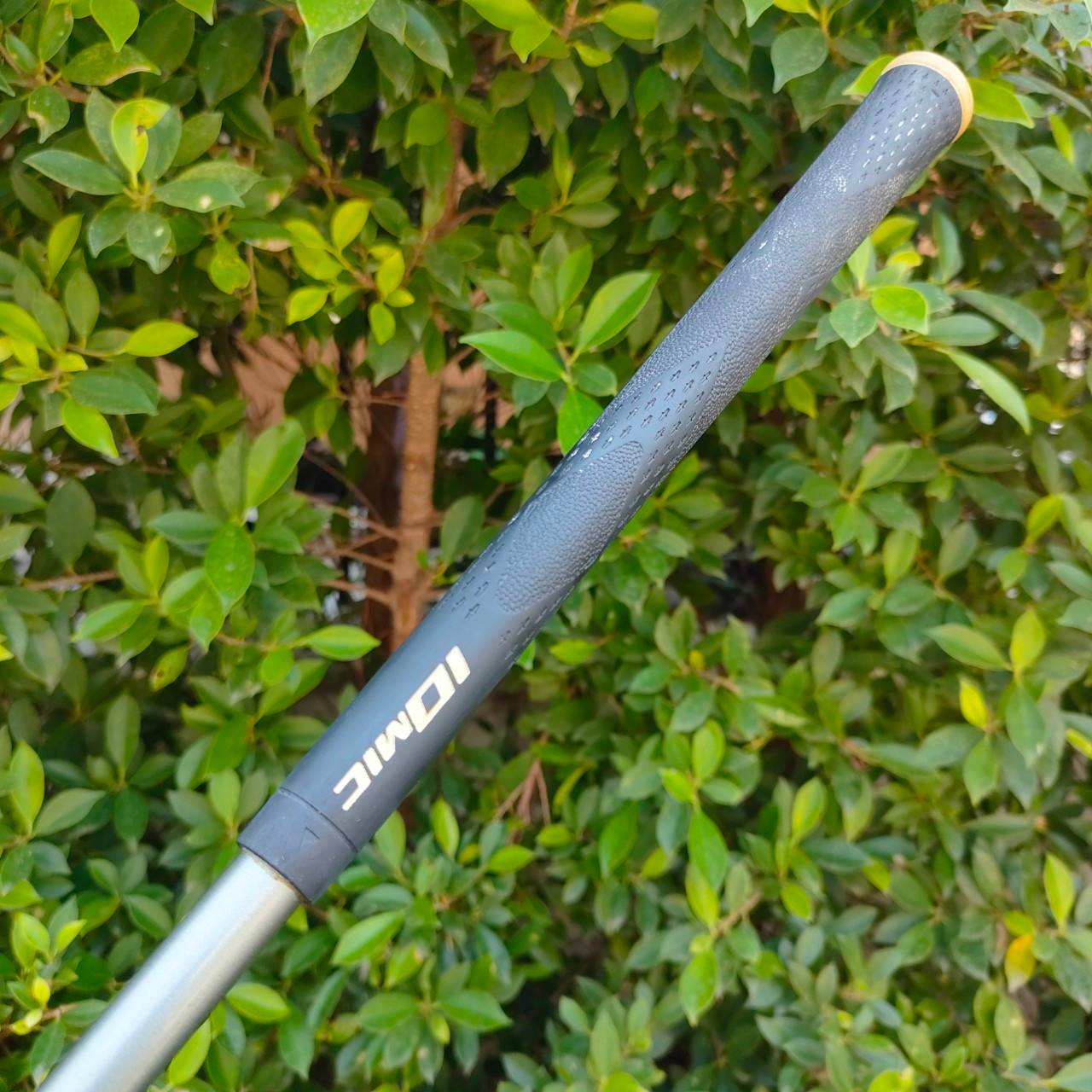 ** ไม้กอล์ฟสำหรับผู้หญิง ** DRIVER MARUMAN V-SONIC TITANIUM360 องศา 13 ก้าน FARJECT WT-50 FLEX L เป็นหัวไทเทเนี่ยม พรีเมี่ยมญี่ปุ่น ไม้กอล์ฟมือสอง ของแท้ BY NakaraLuxurious