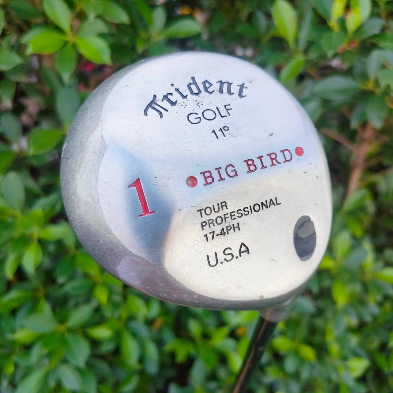 DRIVER TRIDENT BIG BIRD องศา 11 ก้าน BCH96 FLEX R