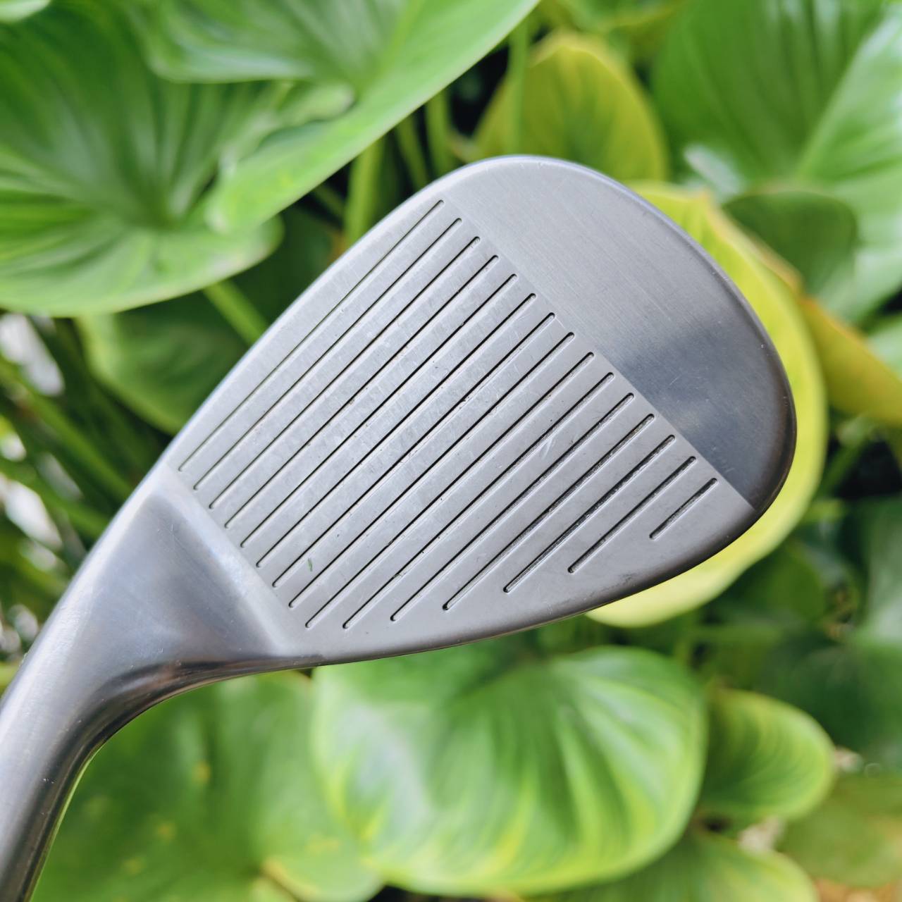 WEDGE CG12 ZIP GROOVE 52° BOUNCE 10 – ควบคุมช็อตสั้นทุกสภาพสนาม!