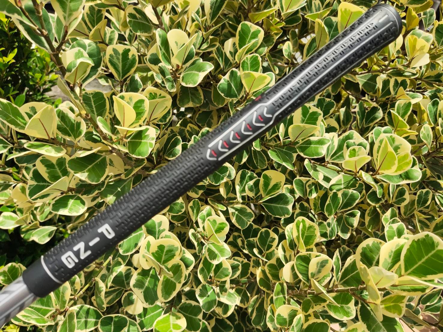 FW3 PING G15 องศา 15.5 ก้าน TFC 149 F FLEX R