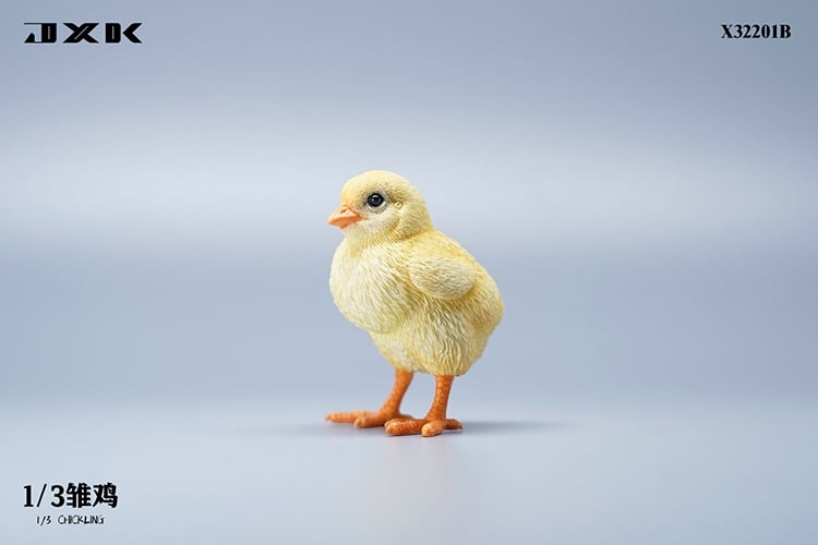 [สั่งจอง]JXK : Scottish Fold/Chckling/Duckling