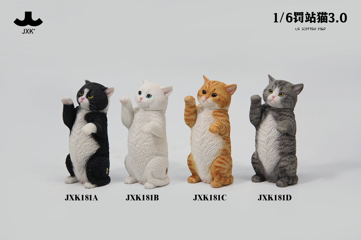 [สั่งจอง]JXK ：1/6 Scottish Fold 3.0