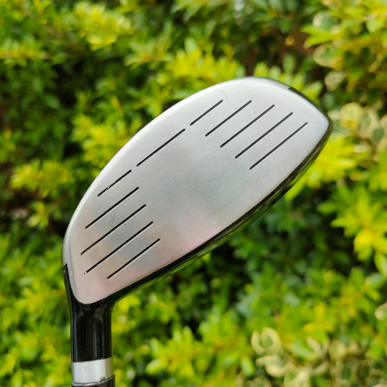 FW3 KATANA M-7 SUPER THIN FACE เป็นรุ่นหน้าบาง หรือหน้าเด้ง ตีไกลสุดขั้ว!!! ก้าน GRAFALLOY PROCUSTOM ULTRALIGHT FLEX R เป็นก้านสุดพรีเมี่ยม ก้านเบามาก!!! ไม้กอล์ฟมือสอง ของแท้ BY NakaraLuxurious