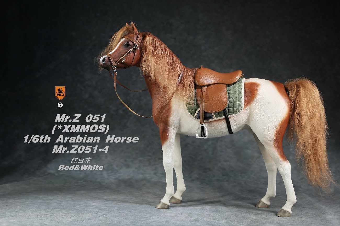 [สั่งจอง]Mr.Z MRZ051 1/6 animal model : Arabian Horse
