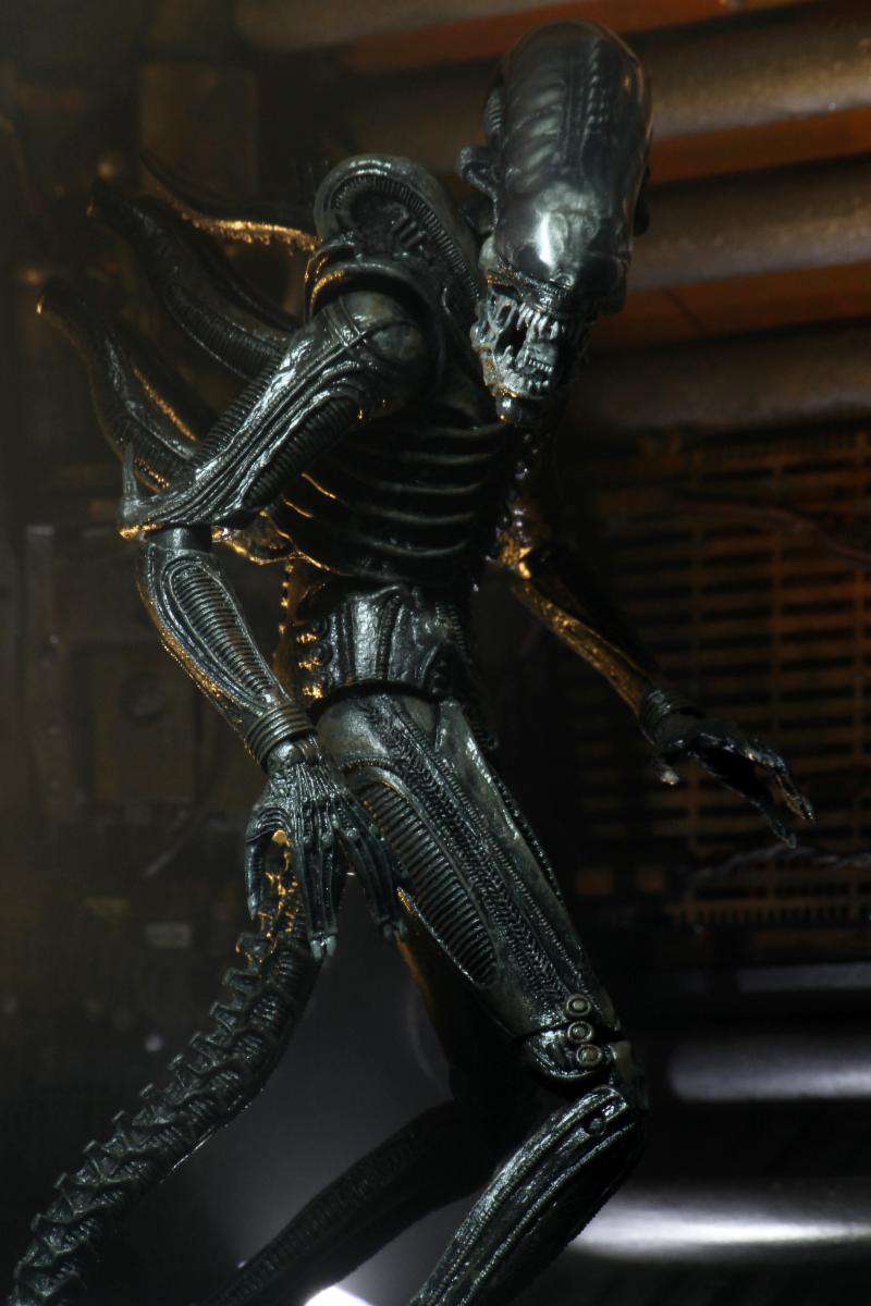 [สั่งจอง]Neca : Ultimate Alien Big Chap 40th Annniversary(9นิ้ว)