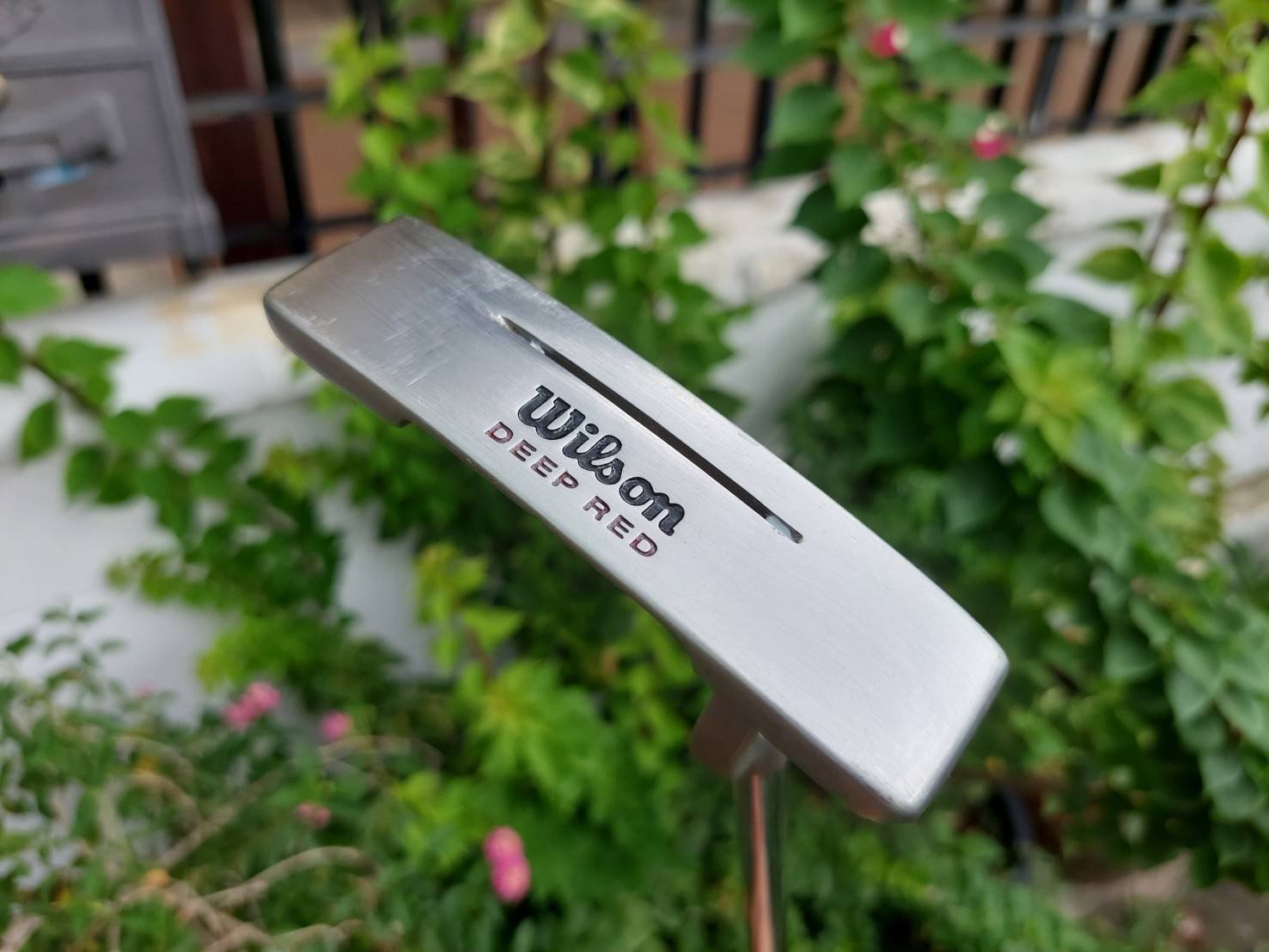 PUTTER WILSON DEEP RED