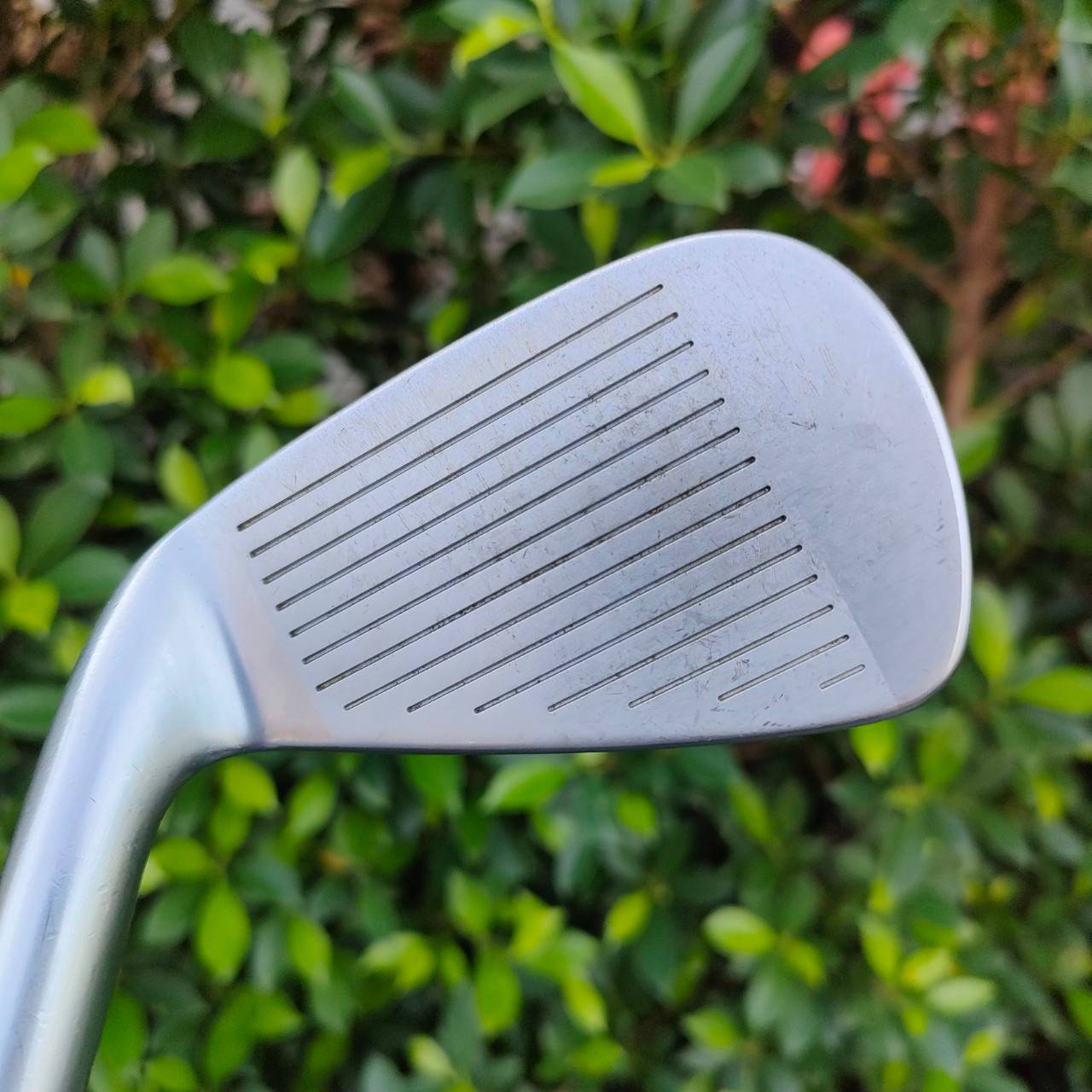 เหล็ก 6 CALLAWAY LEGACY FORGED ก้าน CALLAWAY LEGACY FLEX SR เป็นเหล็กสุดพรีเมี่ยมที่ขายในญี่ปุ่น