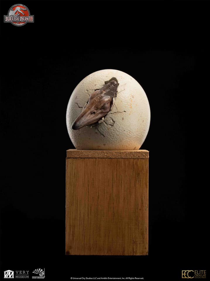 [สั่งจอง]ECC : Hatchling Pterosaur (Jurassic Park)