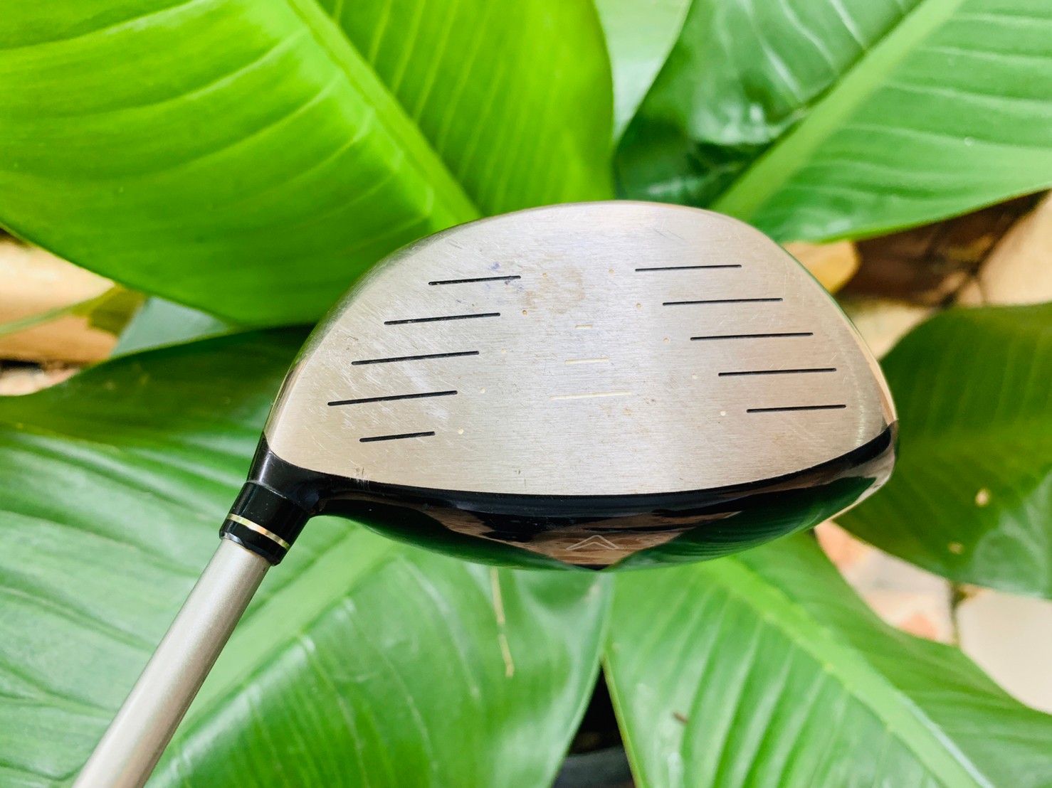 DRIVER Callaway LEGACY TOUR V