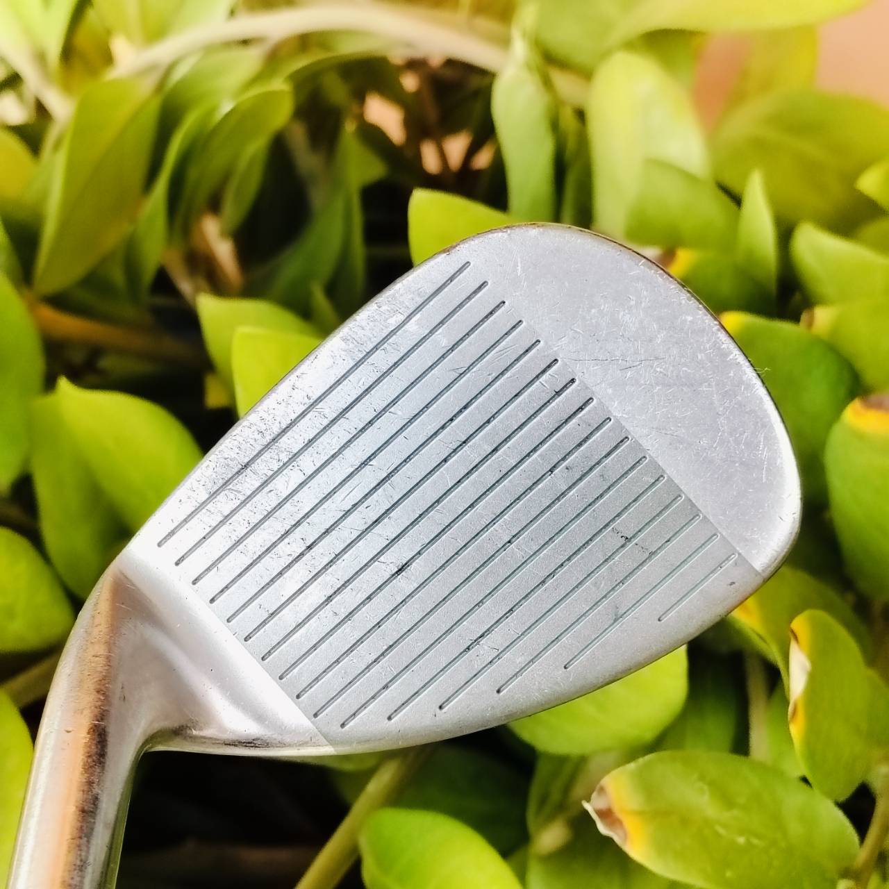 SW MARUMAN M1 องศา 55 ก้าน NS PRO 950 WEDGE FLEX ใบใหญ่นิดหน่อย ทำให้ชิพง่ายมาก สปินดี ตกหยุดๆ ฟีลลิ่งนุ่มนวล วัสดุพรีเมี่ยมญี่ปุ่น ไม้กอล์ฟพรีเมี่ยมมือสอง ของแท้ By NakaraLuxurious