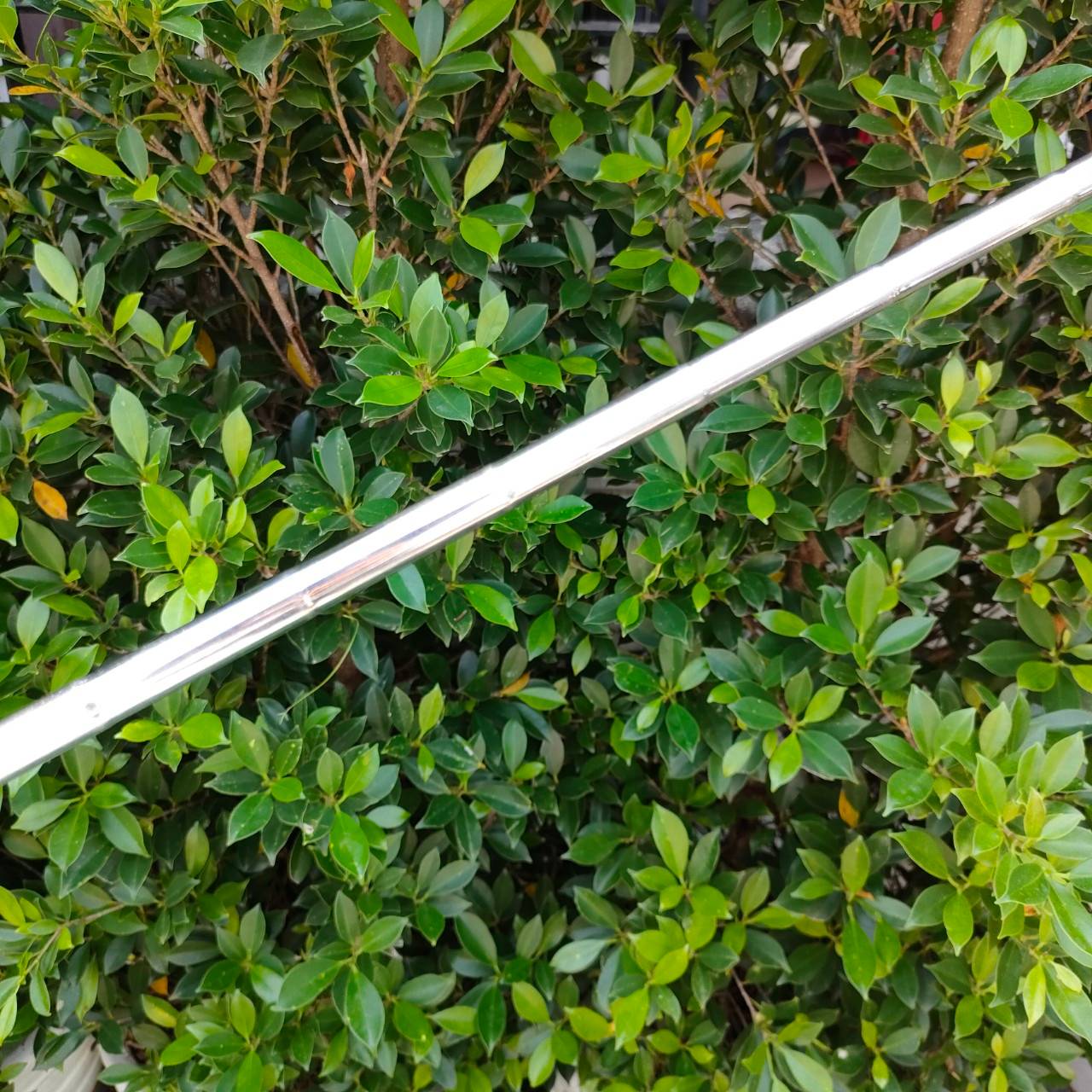 PUTTER ODYSSEY BACKSTRYKE MARXMAN ความยาว 34 นิ้ว ก้านแบบพิเศษ ได้ฟีลลิ่งมาก