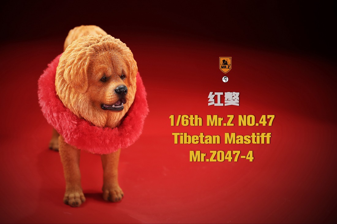 [สั่งจอง] MR. Z Animal Model MRZ047 1/6th Tibetan Mastiff