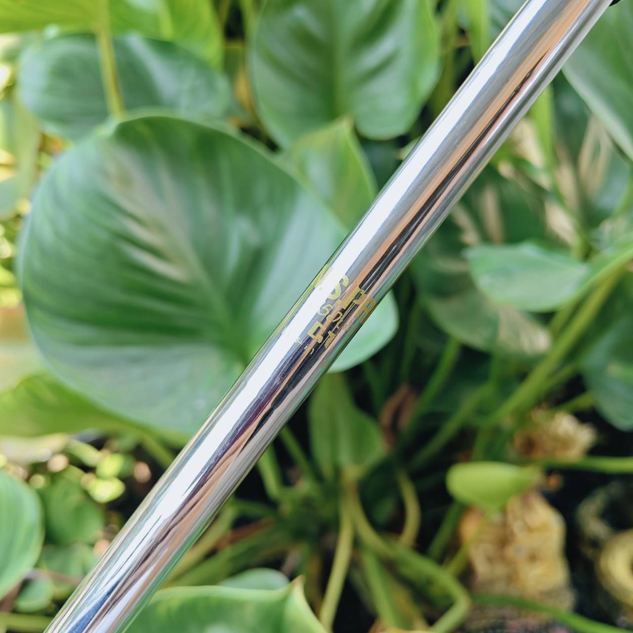 เหล็ก 11 HONMA TOUR WORLD TW737P ⛳ ก้าน NSPRO 850 FLEX R ของดีตีง่าย ฟีลนุ่ม สภาพสวย พร้อมออกรอบ!