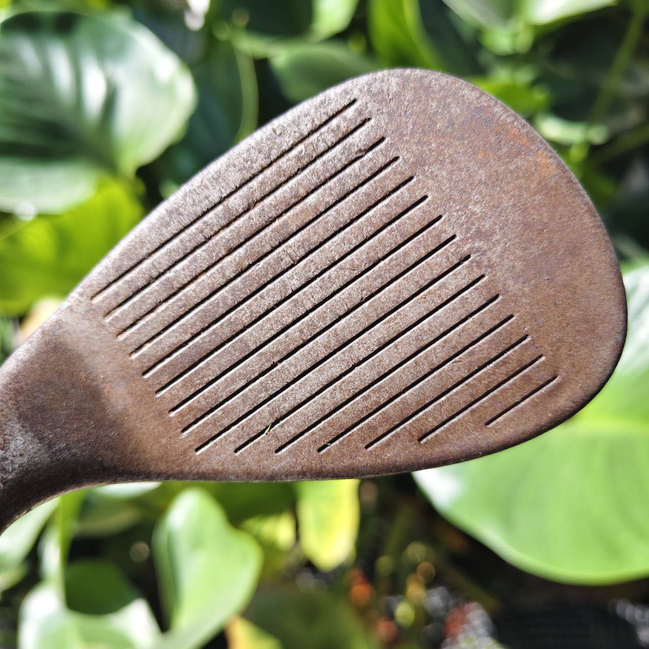 WEDGE สปินโหดๆ CLEVELAND CG12 • Loft 56° • ZIP GROOVE รุ่นร่องสี่เหลี่ยม!