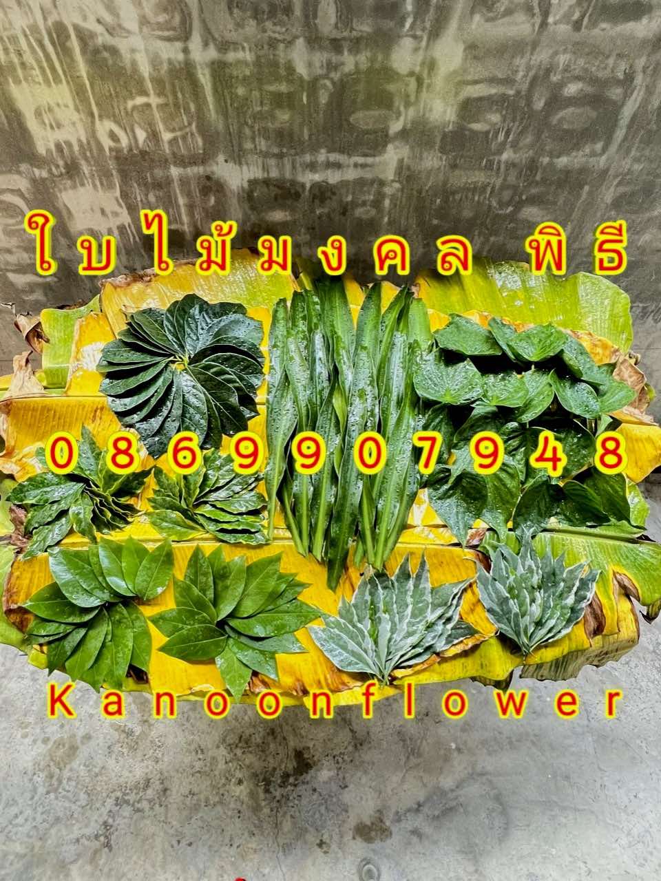 ใบไม้มงคลพิธี9อย่าง