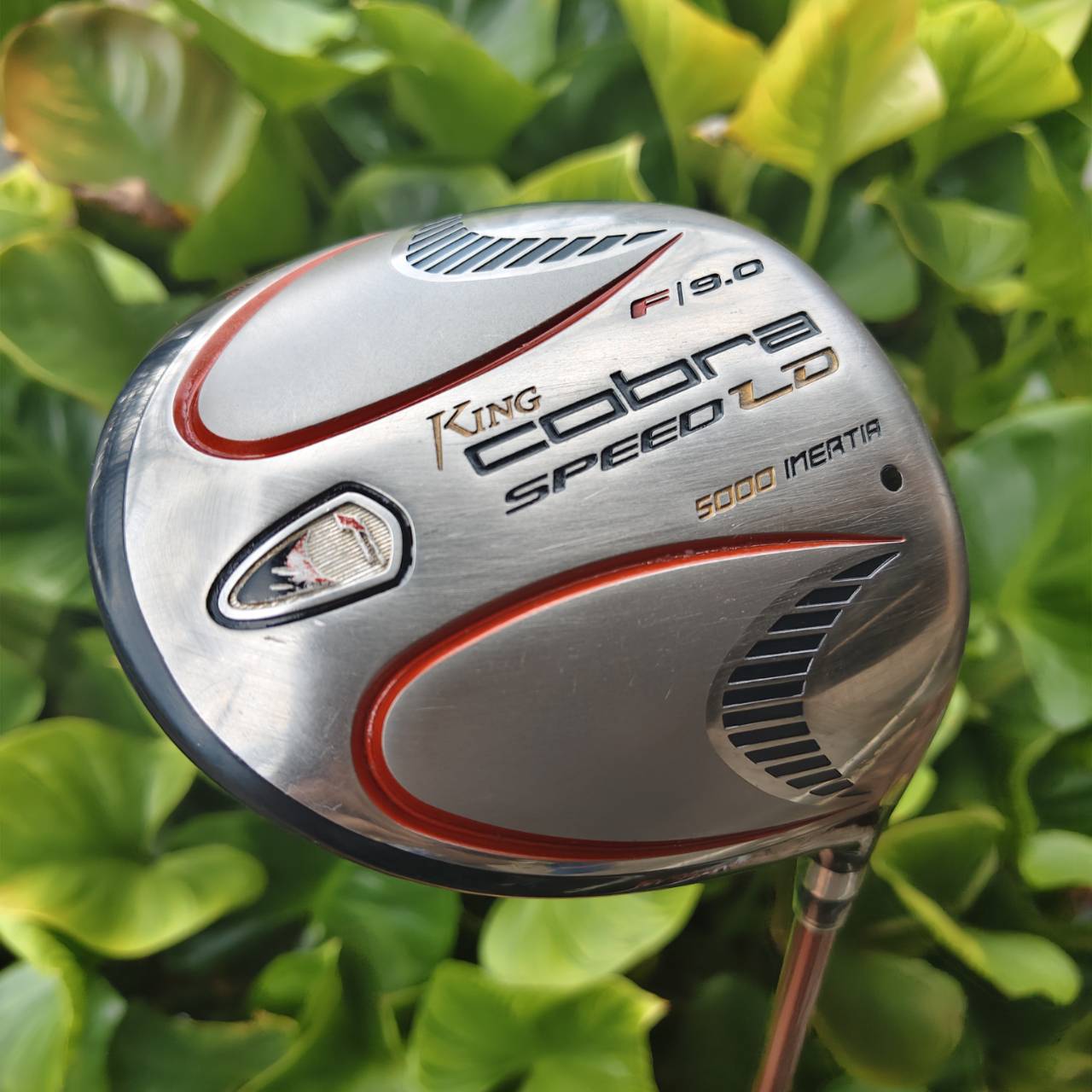 Driver King Cobra Speed LD 5000 Inertia F (Loft 9°) ก้าน ALDILA NV FLEX S