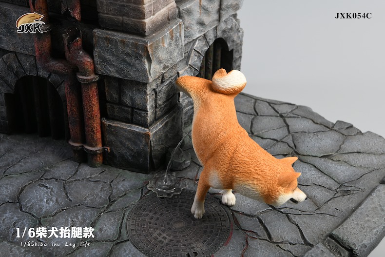 [สั่งจอง]JXK studio 1/6 : Shiba Inu