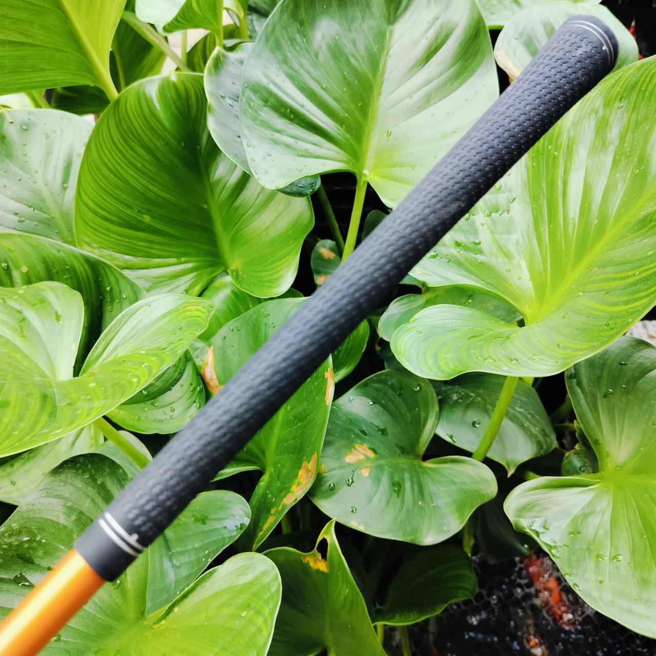 *** ไม้กอล์ฟสำหรับผู้หญิงหรือ ซีเนียร์ที่สวิงเบาๆ ตีได้สบายค่ะ*** . UT4 NIKE IGNITE ออกแบบเรียบหรูและตีดีมาก ไม้กอล์ฟพรีเมี่ยมมือสอง ของแท้ By NakaraLuxurious