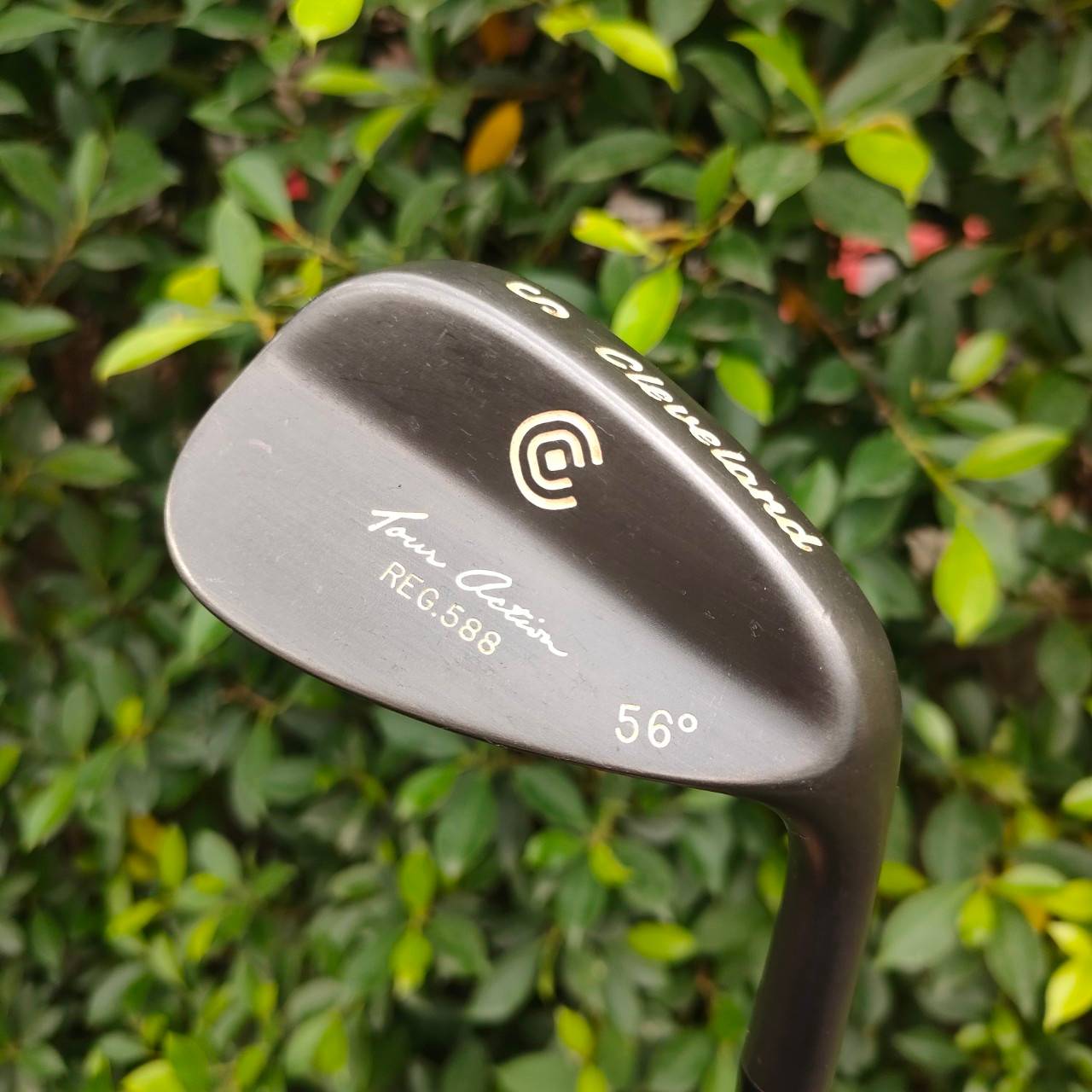 WEDGE CLEVELAND REG.588 องศา 56 ก้าน DYNAMIC GOLD FLEX S รุ่นยอดนิยมสูงสุดของ CLEVELAND