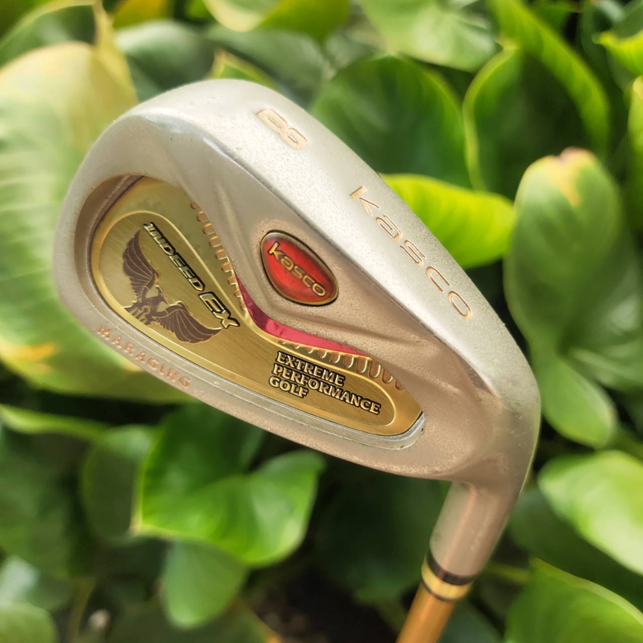 เหล็ก 8 KASCO INDEED EX MARAGING!!! หน้าเด้งจัดๆ ตีง่ายมาก ไกลมาก และแม่นยำ