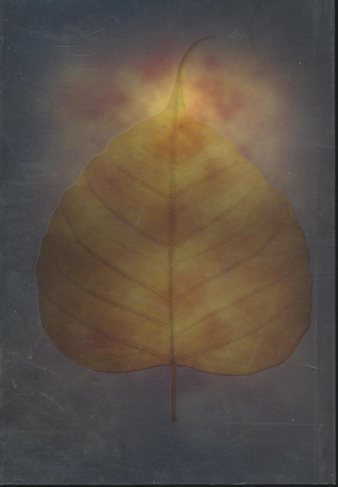 ภูมิพโลภิกขุ ร่มโพธิ์ของปวงประชา