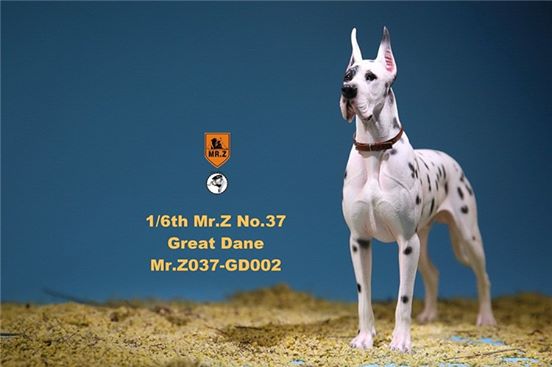[สั่งจอง]Mr. Z Animal Model No.37: 1/6th The German Great Dane(all 6 colors)
