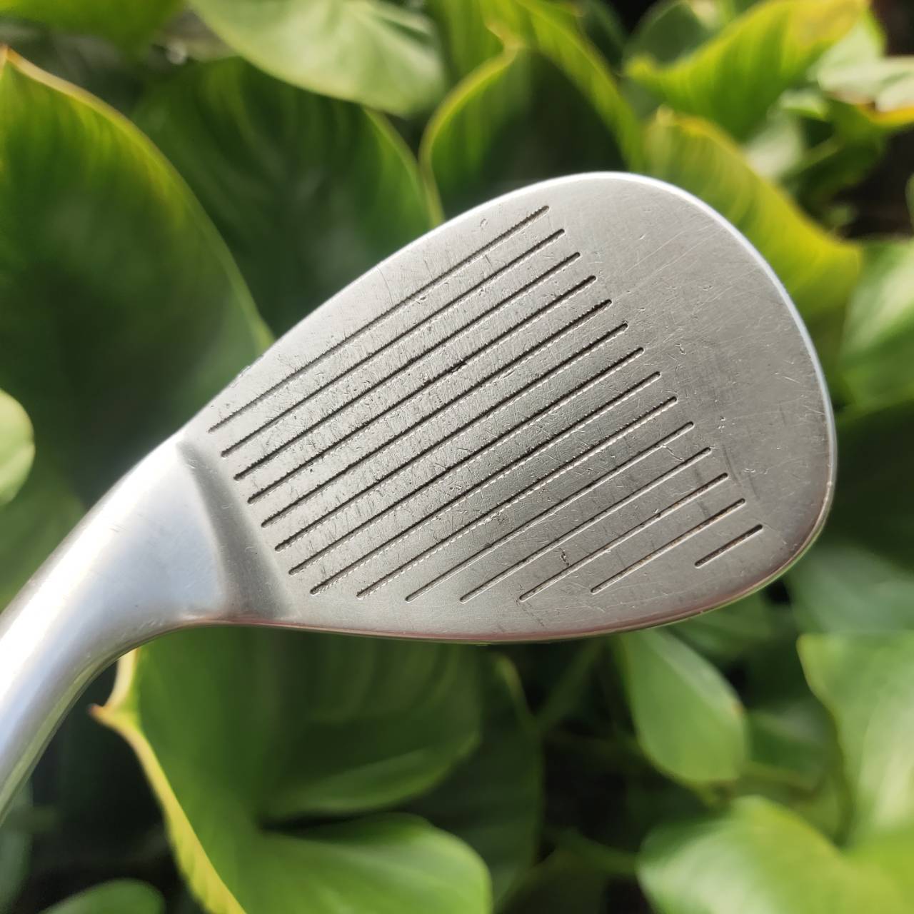 WEDGE GOLDEN BEAR องศา 52 BOUNCE 8 หน้าสัมผัสสุดโหด ร่องโหดมาก สปินจัดตกหยุดๆเลย น้ำหนักดี