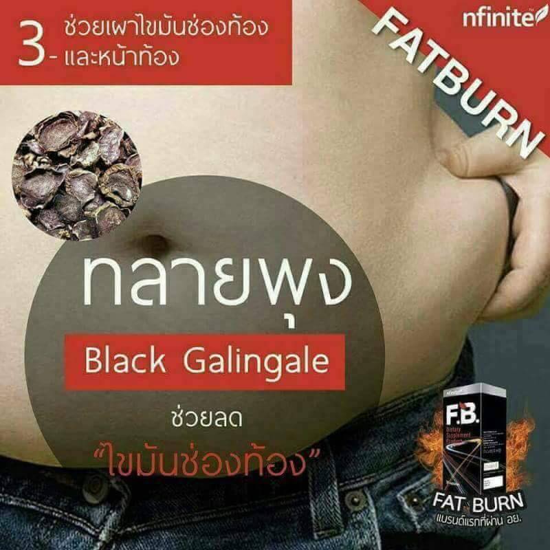 Fat Burn สลายไขมัน ลดพุง (4 ซอง : 60 เม็ด)