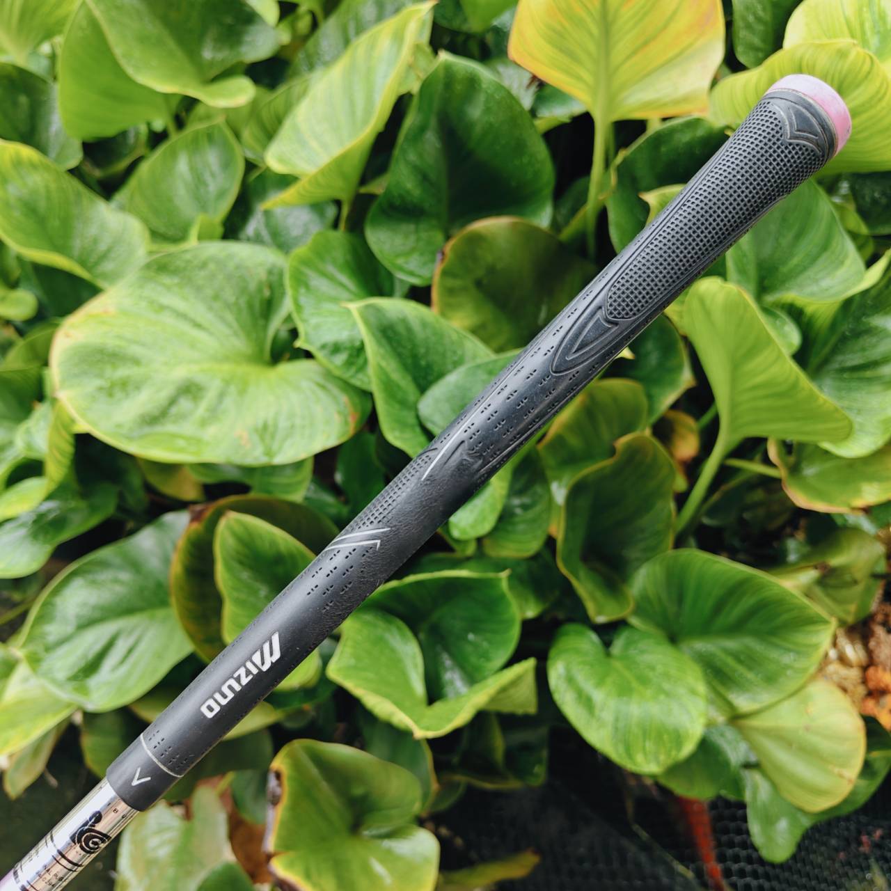 7W MIZUNO ZEPHYR – Each Gravity Design / Flex Lady 🌸