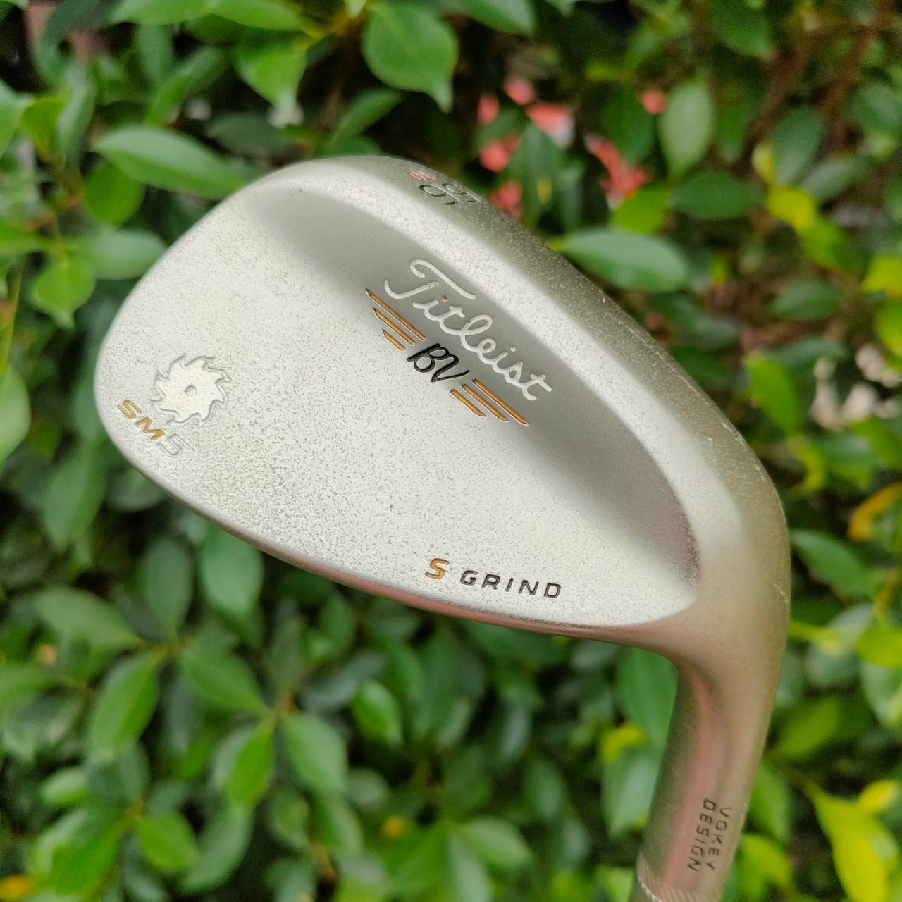 WEDGE TITLELIST SM5 BV S GRIND องศา 56 BOUNCE 10 ก้าน BV VOKEY DESIGN FLEX WEDGE หน้าตะไบ สับๆตกหยุดครับ!!