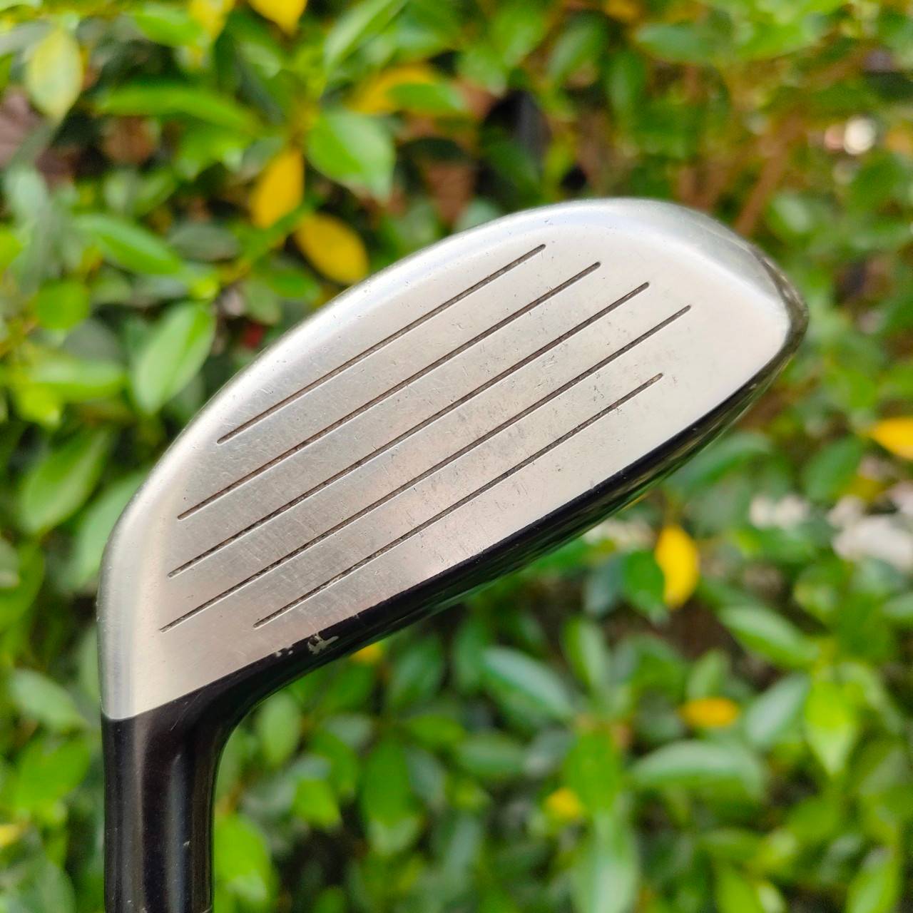 FW3 REYGRANDE SUPER VER.6.1 องศา 15 ก้านFIBER CRAFT FLEX R