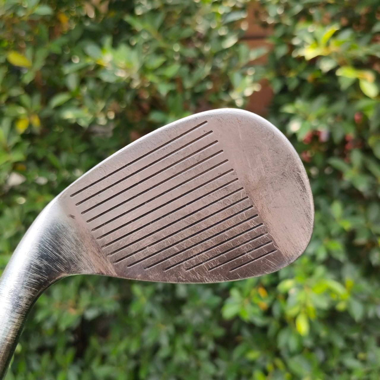 WEDGE PERRY GEAR MASTER องศา 56 FLEX WEDGE ใบ WEDGE สวยมาก วัสดุดีมาก สปินสับๆ นุ่มๆเลยครับ
