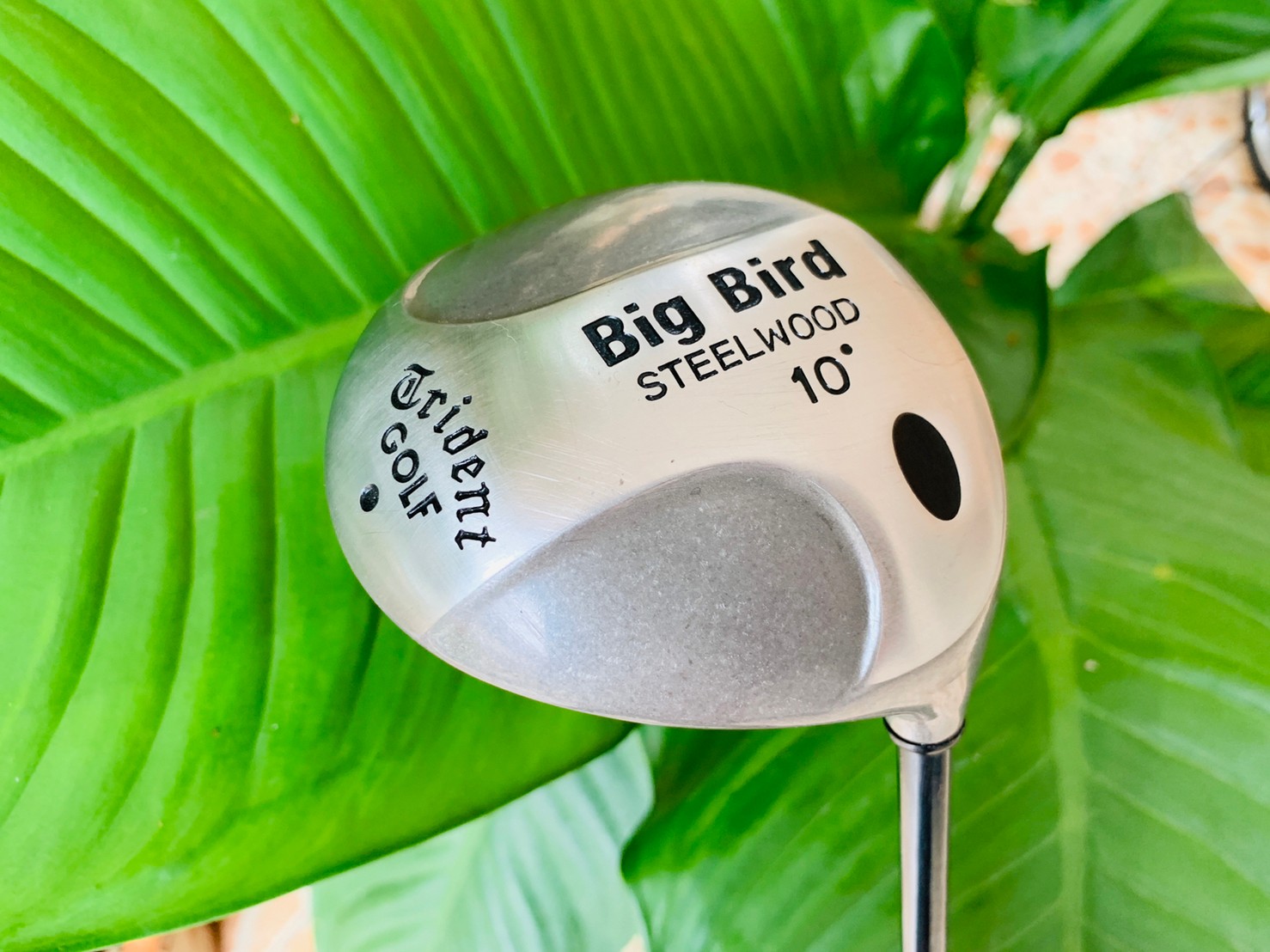 DRIVER BIG BIRD STEEL WOOD