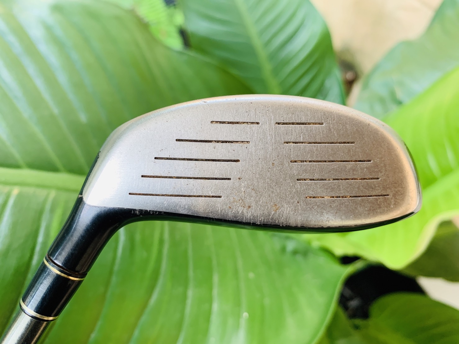 FAIRWAY 3 TOURSTAGE VIQF