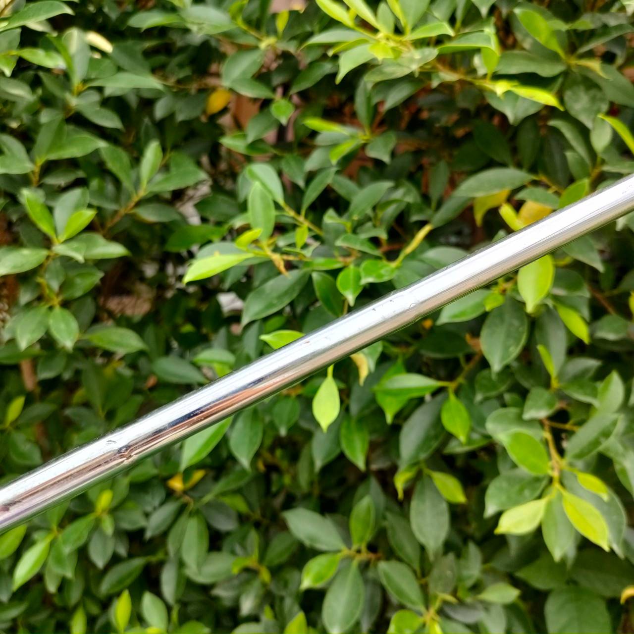 **"ไม้กอล์ฟสำหรับผู้หญิง ** PUTTER TAD MOOTE BYE BYE รุ่นดัง พัตต์ดีมาก ความยาว 32 นิ้ว