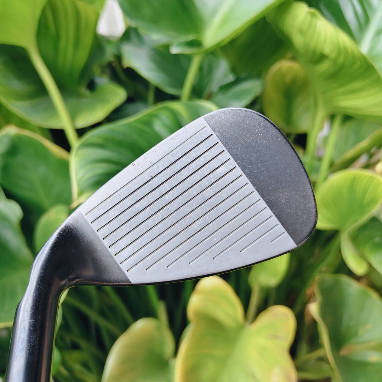 ชุดเหล็ก PING G710 บันทึกและวิเคราะห์ทุกช็อตผ่านแอป Arccos Caddie