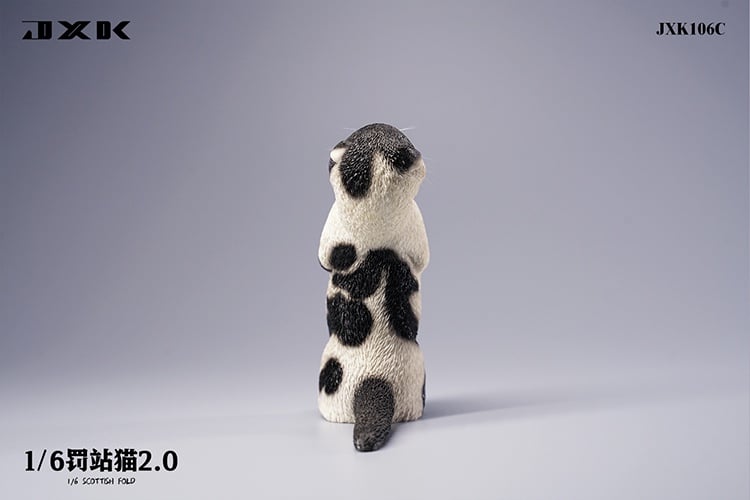 [สั่งจอง]JXK : Scottish Fold/Chckling/Duckling