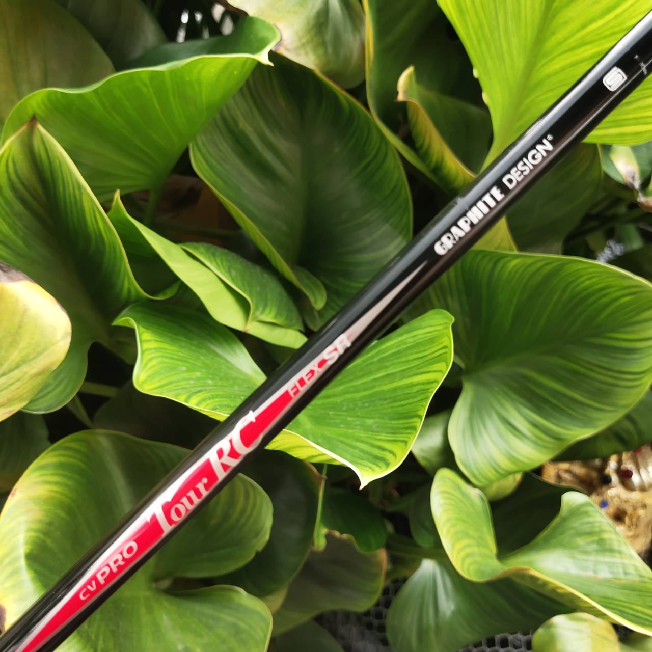 Driver KING COBRA 454 COMP UNLIMITED 10.5° กระดองคาร์บอนเคฟล่า จุด CG ต่ำ เด้งทั้งโครงสร้าง