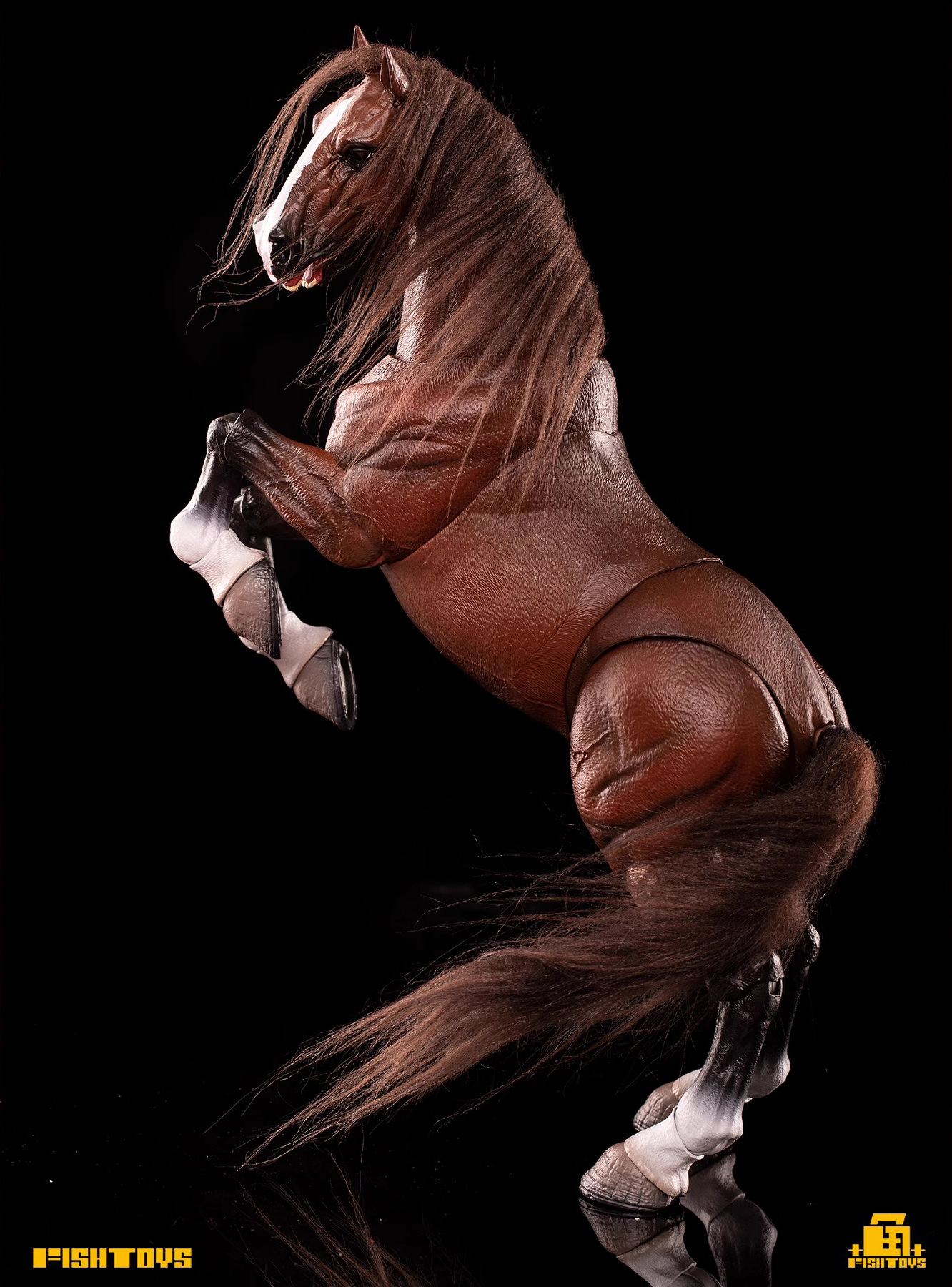 [สั่งจอง]Fish toys (D20 Studio)