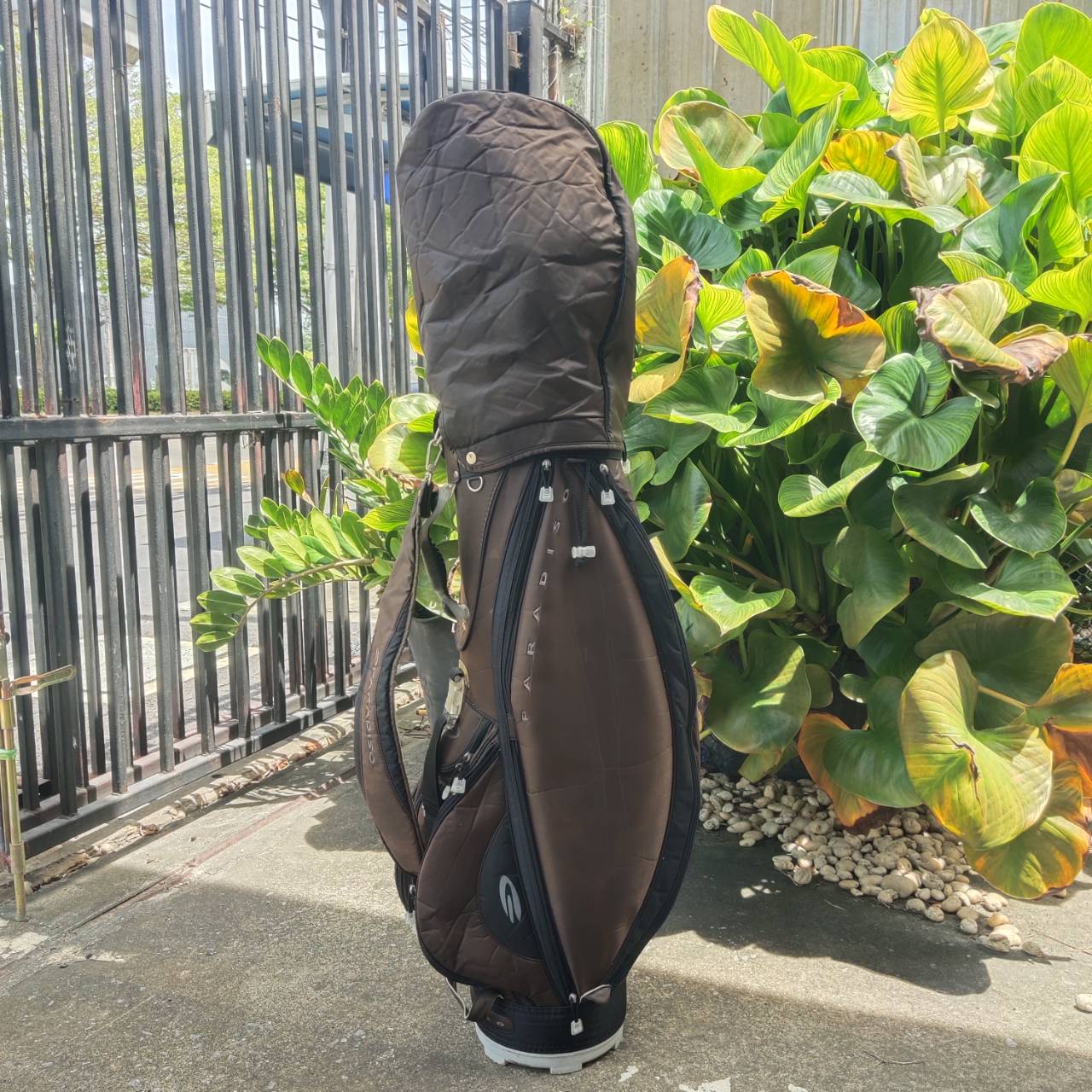 *ไม้กอล์ฟผู้หญิงครบชุด* DAIWA ADVISOR LADY พรีเมี่ยมญี่ปุ่น ออกแบบให้ตีง่ายมากที่สุด