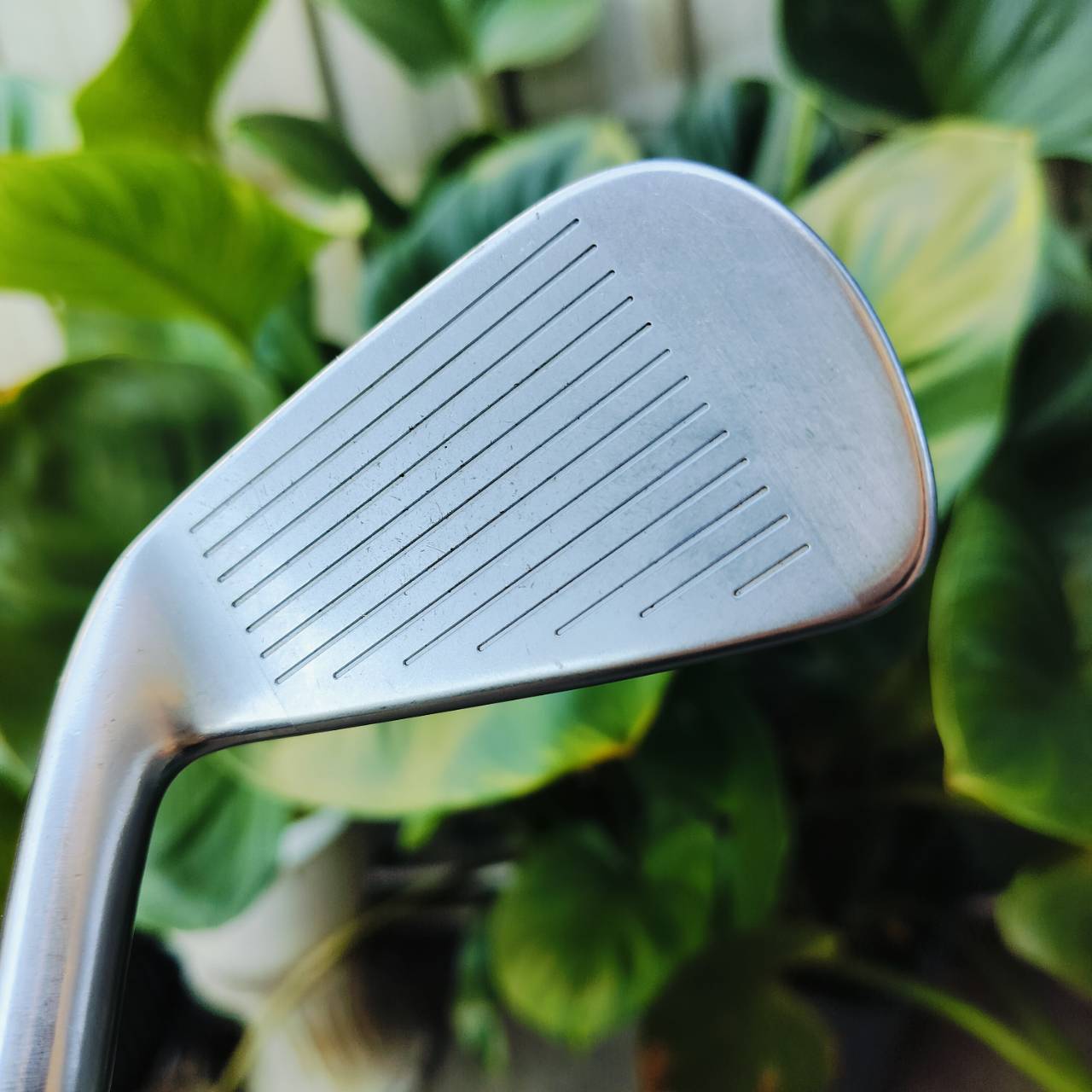 เหล็ก 4 Taylormade P790 เหล็กประสิทธิภาพเหนือชั้นสูงสุด ดีที่สุดที่ทีมวิศวกร TaylorMade ทำมา ระดับ Ultra-Premium Performance ไม้กอล์ฟพรีเมี่ยมมือสอง ของแท้ By NakaraLuxurious